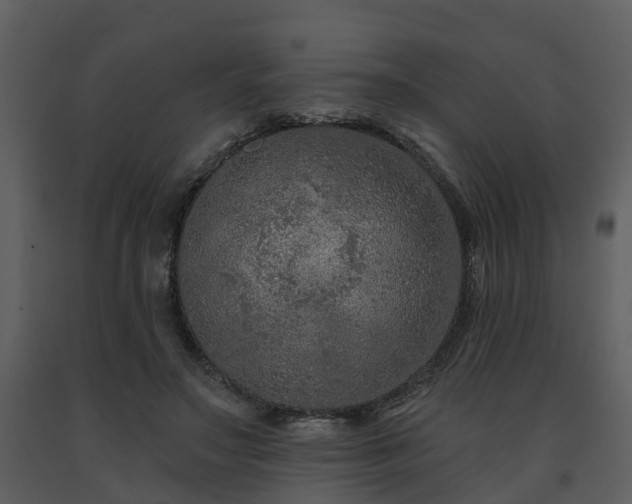 X0000091730499200708241416
