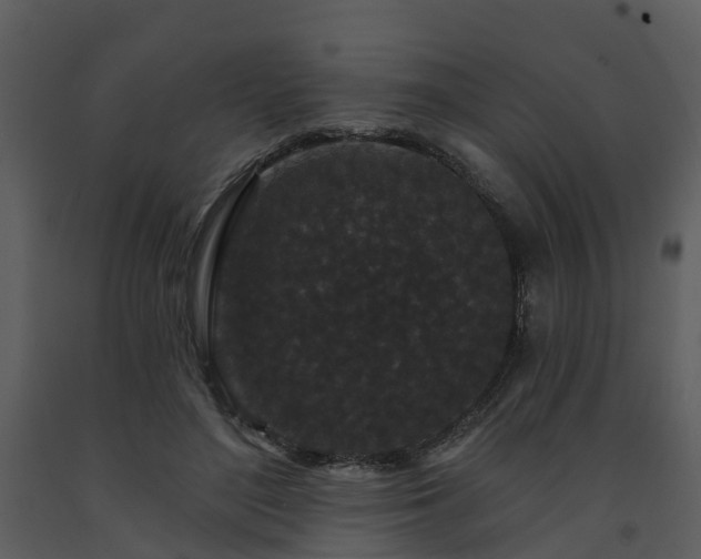 X0000091730500200708241416