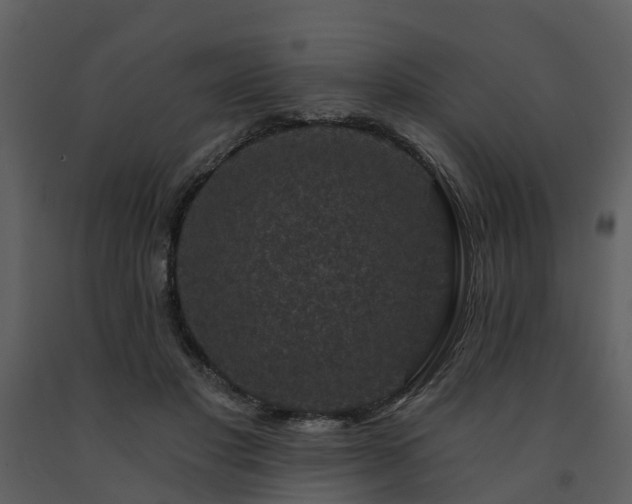 X0000091730501200708241416