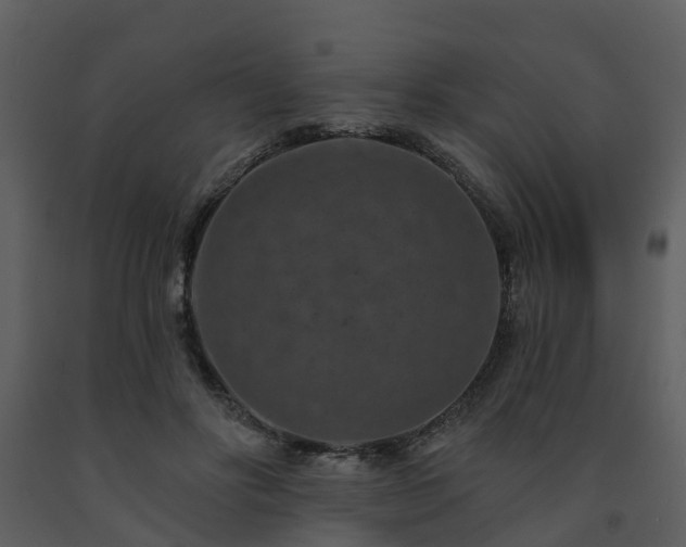 X0000091730502200708241416