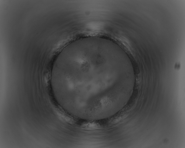 X0000091730503200708241416