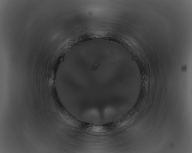 X0000091730507200708241416