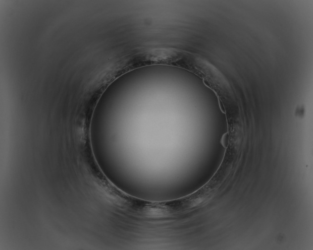 X0000091730510200708241416