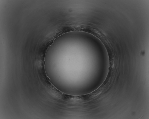 X0000091730515200708241416