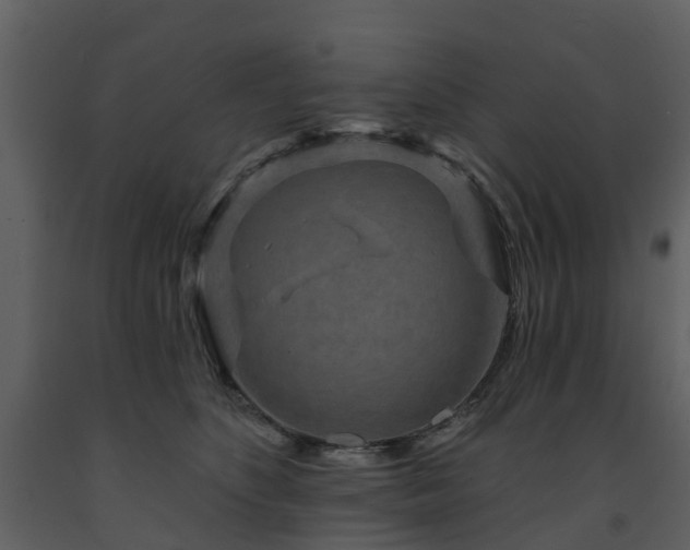 X0000091730516200708241416
