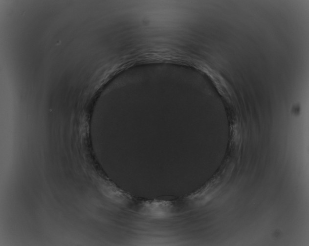 X0000091730517200708241416