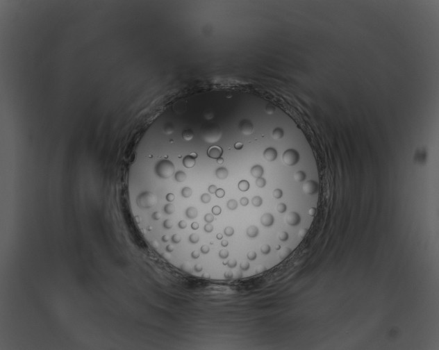 X0000091730519200708241416