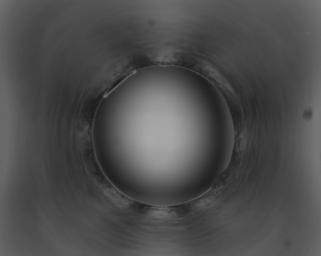 X0000091730521200708241416