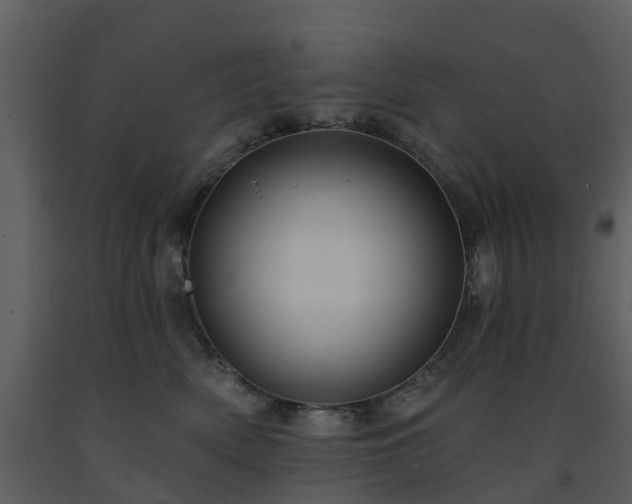 X0000091730522200708241416