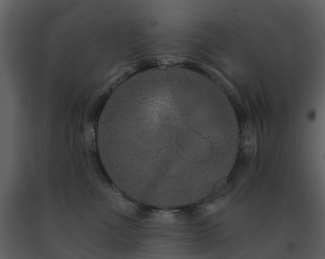 X0000091730523200708241416