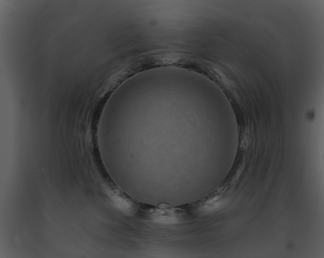 X0000091730524200708241416