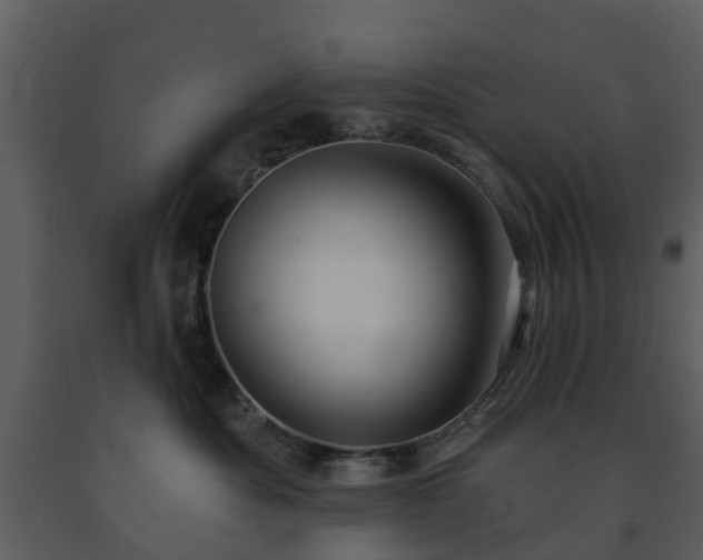 X0000091730525200708241416