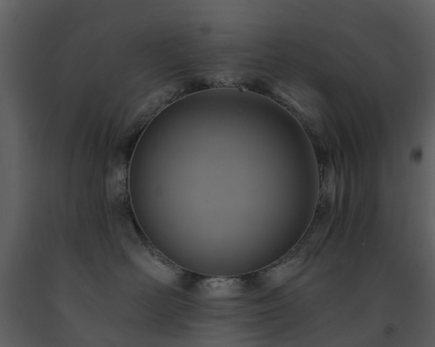 X0000091730526200708241416