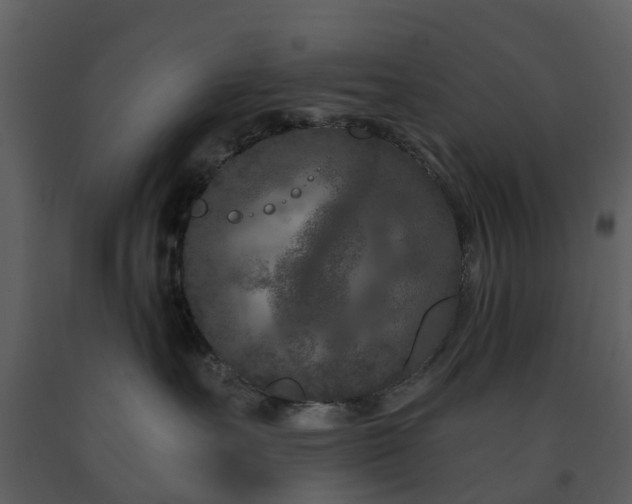X0000091730527200708241416