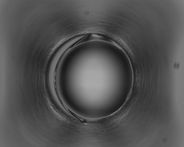 X0000091730530200708241415