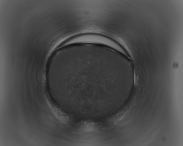 X0000091730531200708241415