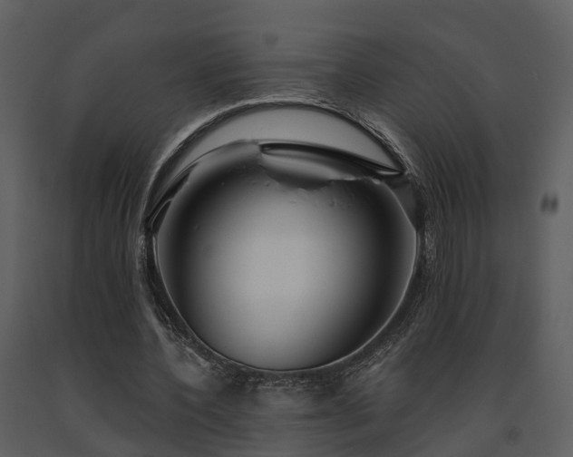 X0000091730532200708241415