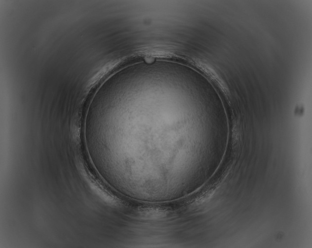 X0000091730533200708241415