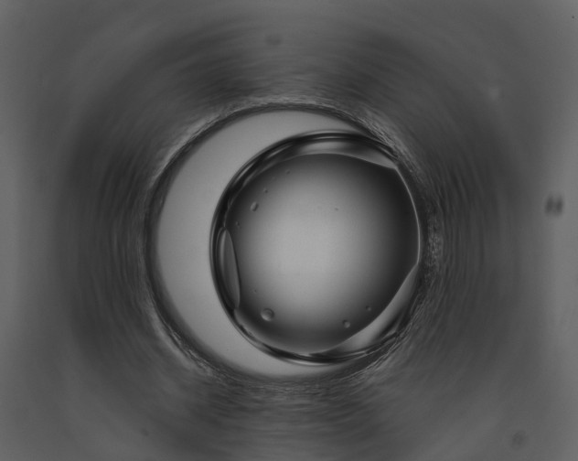 X0000091730534200708241415