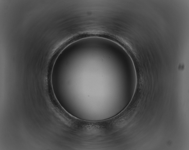 X0000091730535200708241415