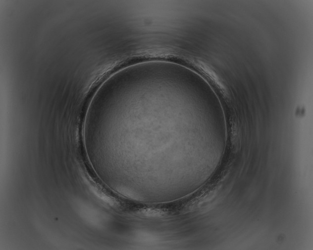 X0000091730537200708241415