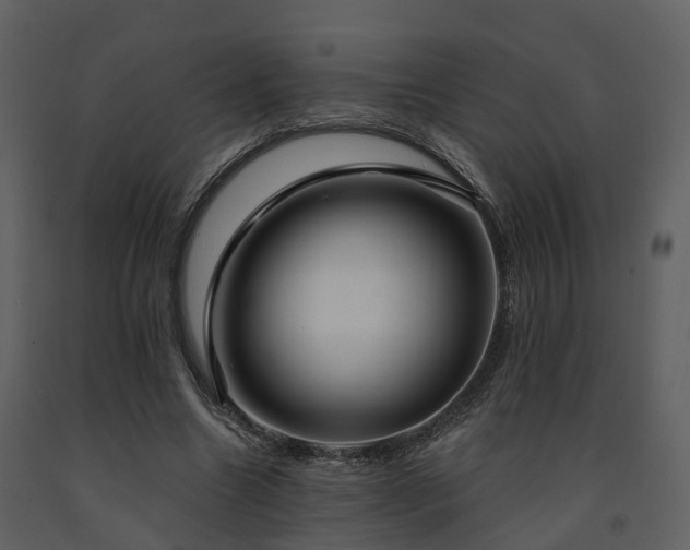 X0000091730538200708241415