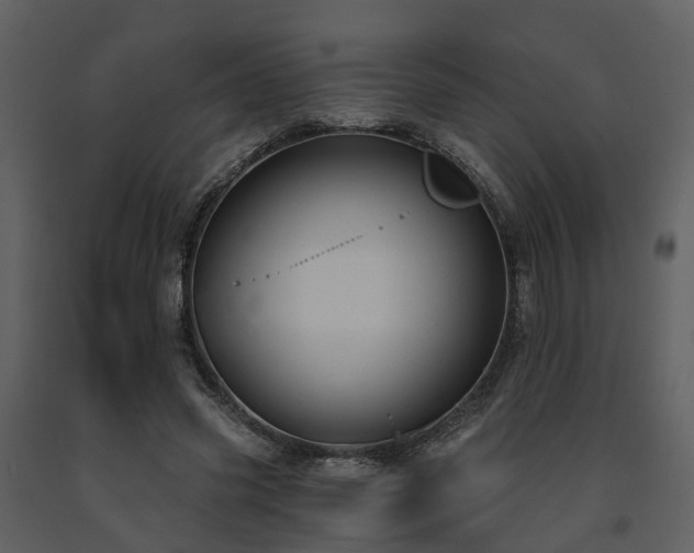 X0000091730541200708241415