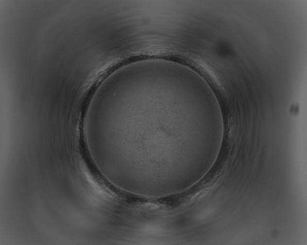 X0000091730542200708241415