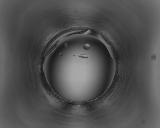 X0000091730544200708241415