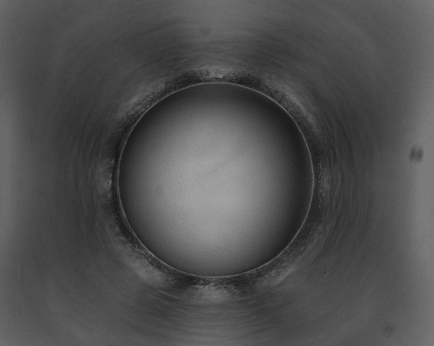 X0000091730545200708241415