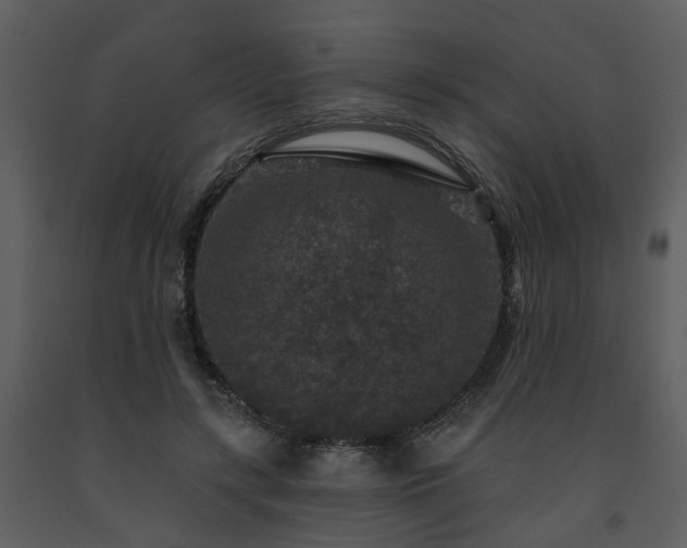 X0000091730547200708241415