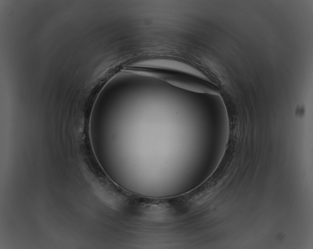 X0000091730548200708241415