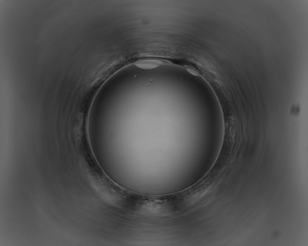 X0000091730550200708241415
