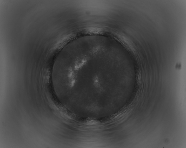X0000091730551200708241415