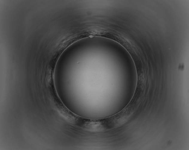 X0000091730554200708241415