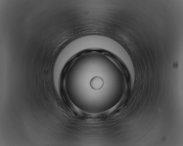 X0000091730556200708241415