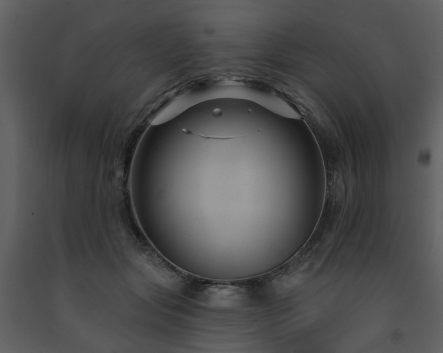 X0000091730557200708241415