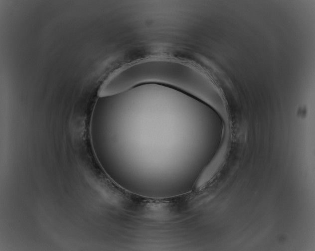 X0000091730560200708241415