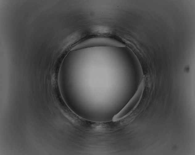X0000091730564200708241415