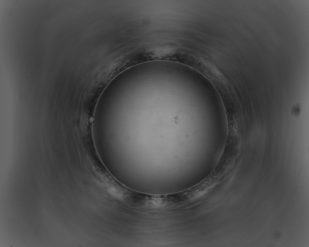 X0000091730565200708241415