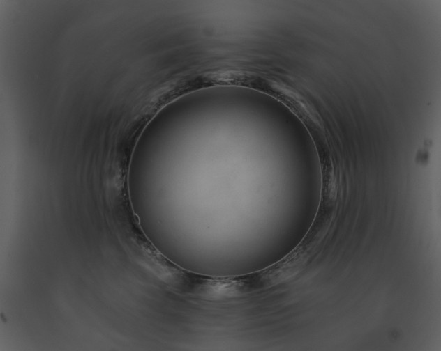 X0000091730569200708241415
