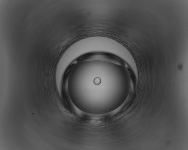 X0000091730570200708241415