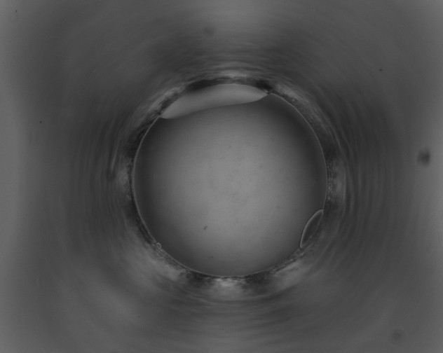 X0000091730573200708241415