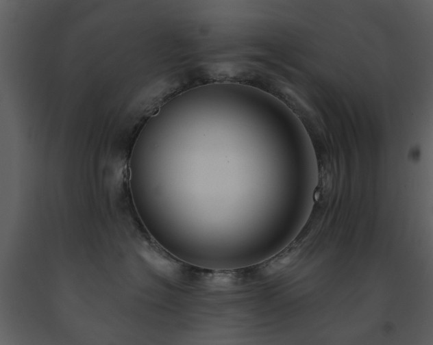 X0000091730574200708241415