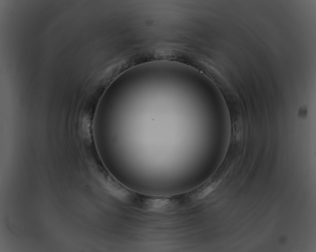 X0000091730575200708241416