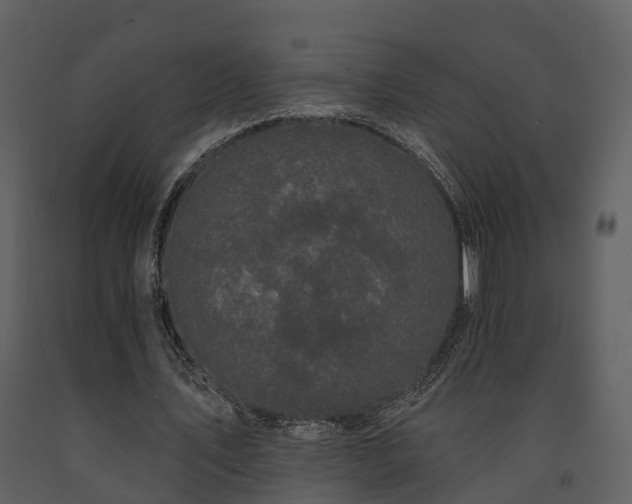 X0000091730579200708241415