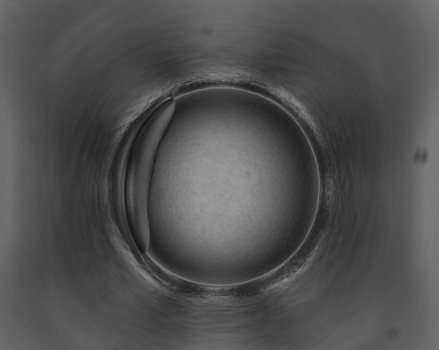 X0000091730581200708241415