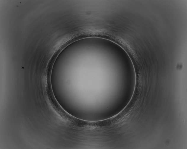 X0000091730582200708241415