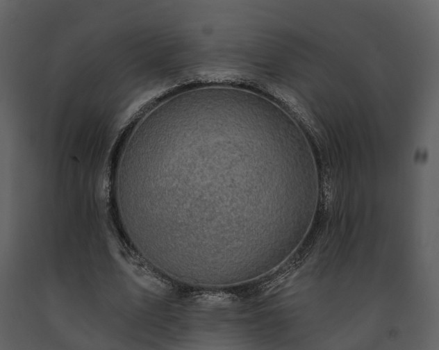 X0000091730583200708241415