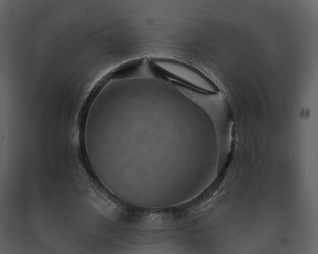 X0000091730584200708241415